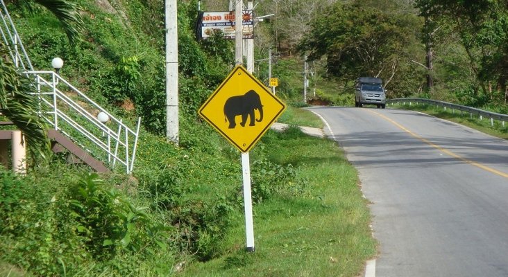 Señal de advertencia elefantes