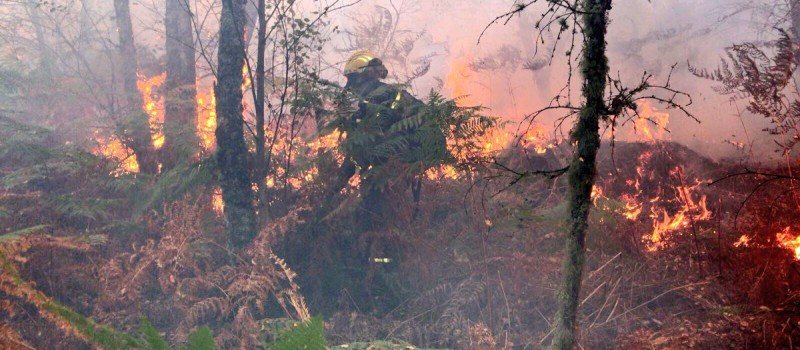 Incendio en Galicia