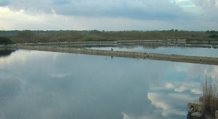 ParcNaturalSAlbufera BalearsNatura.com 7