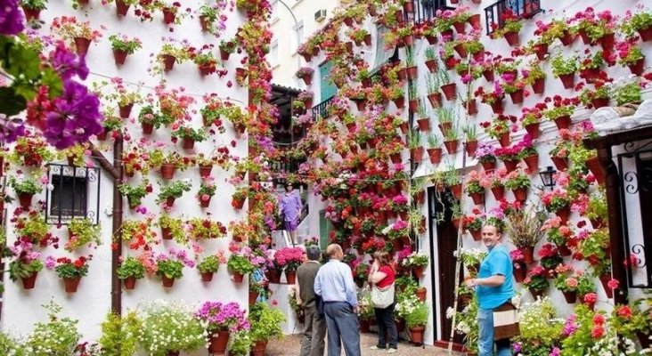 Explosión de flores de Córdoba llega hasta el Financial Times