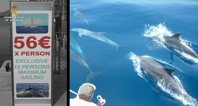 Operación de la Guardia Civil por infracciones en avistamiento de cetáceos en Canarias