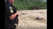 La Policía Federal protege a las tortugas
