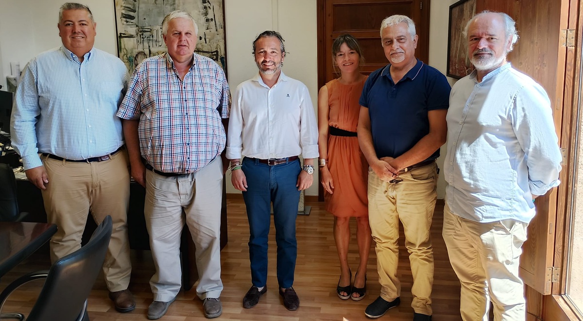 mallorca transporte patronal