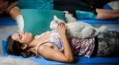 Practicar yoga con gatos es posible en una cafetería de California