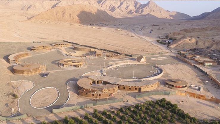 1202921 penico 5 1202921 penico 5