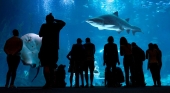 Poema del Mar obtiene el premio Tripadvisor Traveller’s Choice Awards 2025 por cuarto año consecutivo