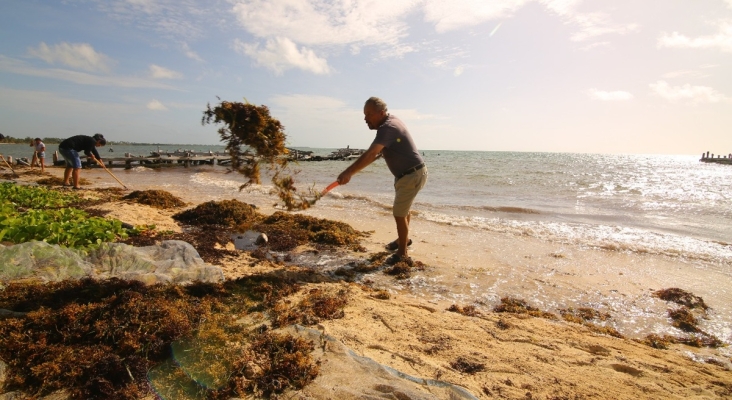 Tulum (México) intensifica la limpieza de sargazo de las playas ante la crisis turística | Foto: Red Monitoreo Sargazo Tulum vía Facebook