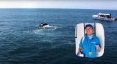 Fallece Kim Beddall, pionera de las excursiones para el avistamiento de ballenas en Samaná (R. Dominicana)