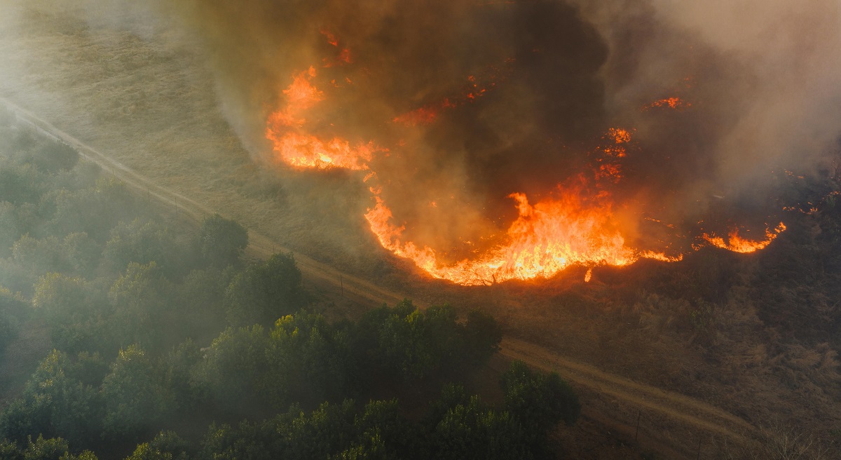 Incendio Forestal Incendio Forestal