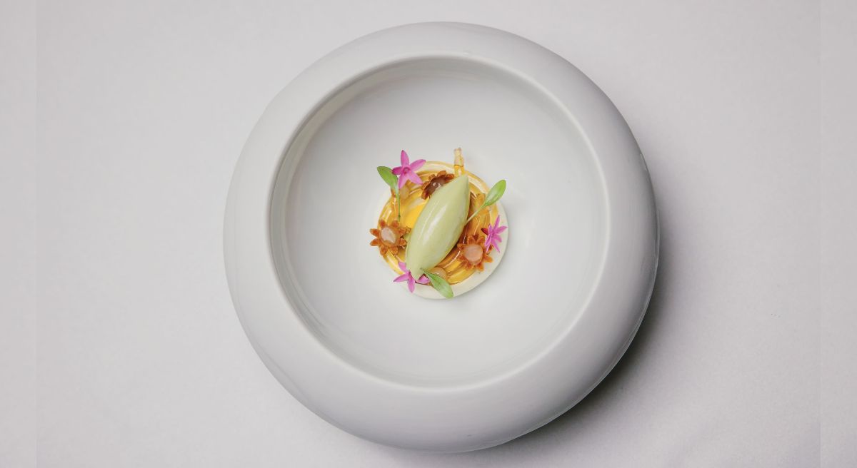 plato donaire plato donaire