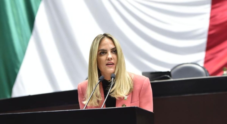Tania Palacios Kuri, diputada del Congreso de la Unión (México)