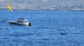 La Guardia Civil denuncia a siete turistas por nadar con ballenas en Tenerife: afrontan multas de 600.000 euros | Foto: Guardia Civil
