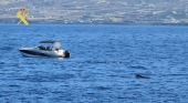 La Guardia Civil denuncia a siete turistas por nadar con ballenas en Tenerife: afrontan multas de 600.000 euros | Foto: Guardia Civil