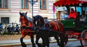 Coche de caballos