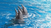Delfines