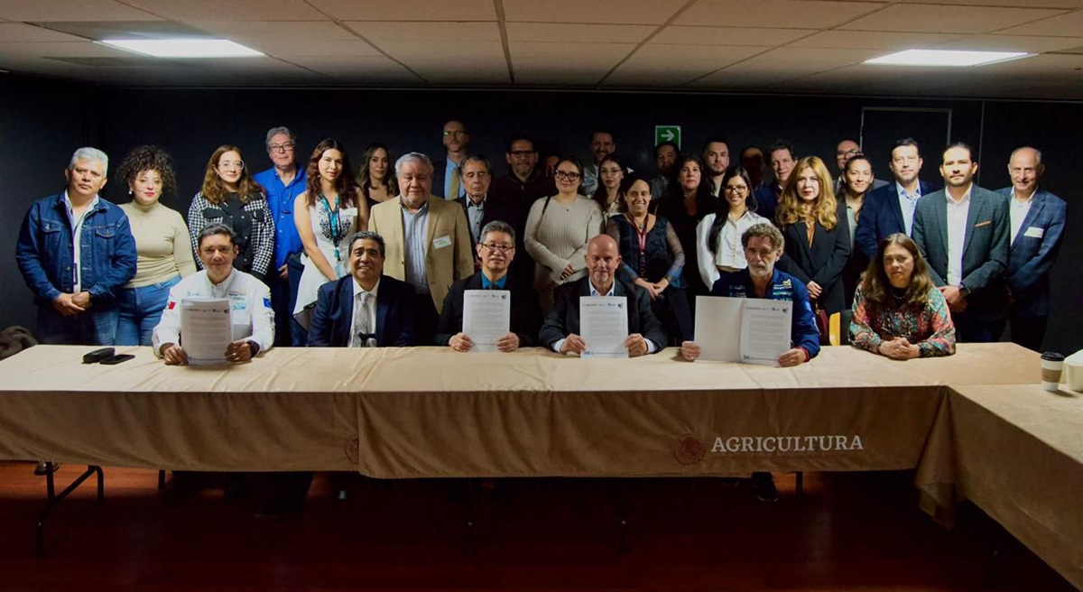 Imagen de WhatsApp 2025 11 06 a las 20.03.31 c85cacd8