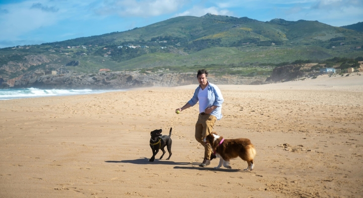 Viajes 'pet friendly' | Foto: Kampus Production