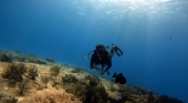 Submarinismo en Cozumel (México) | Foto: Matías Mango