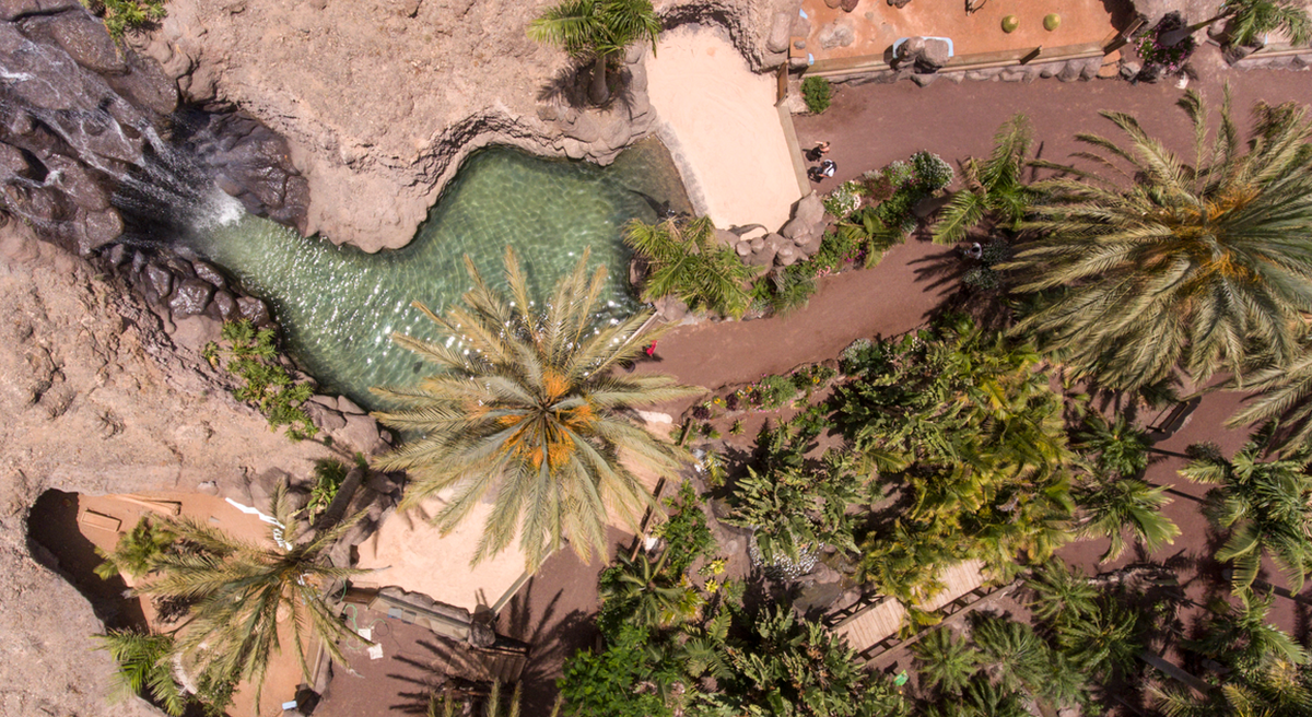 Oasis Wildlife Fuerteventura