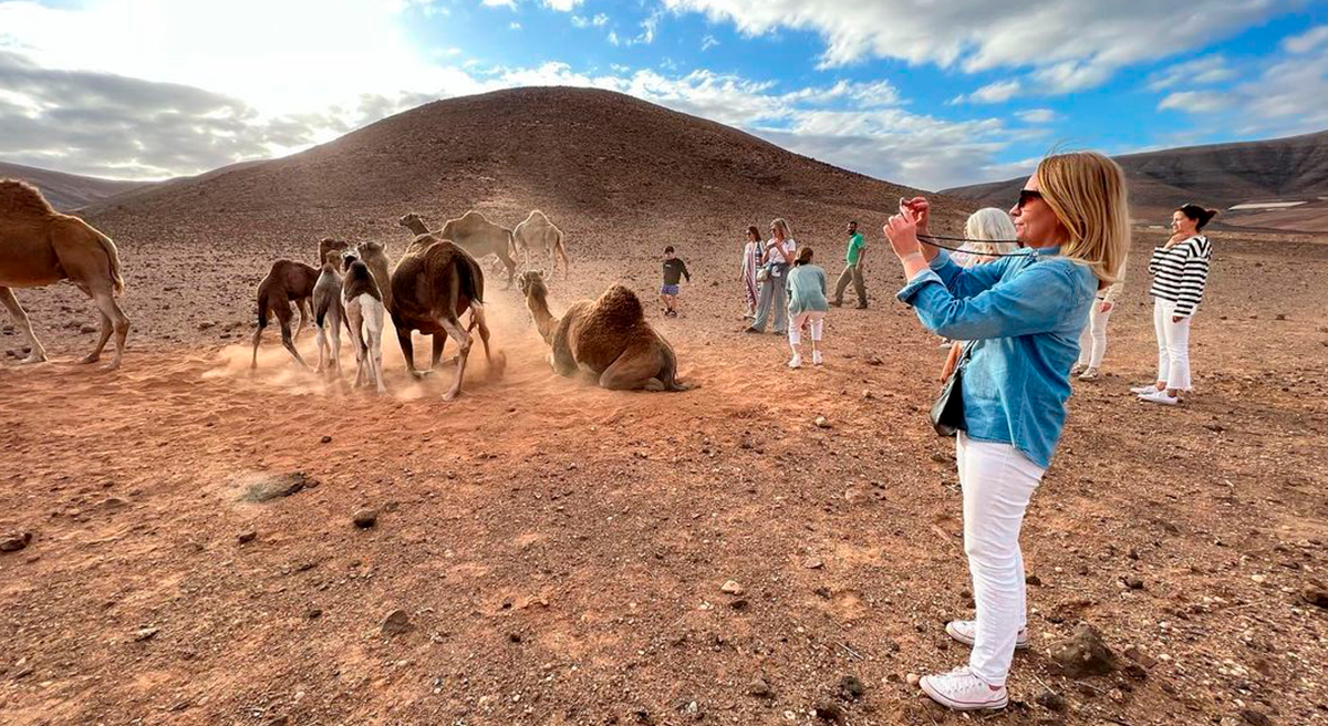 Oasis Wildlife Fuerteventura