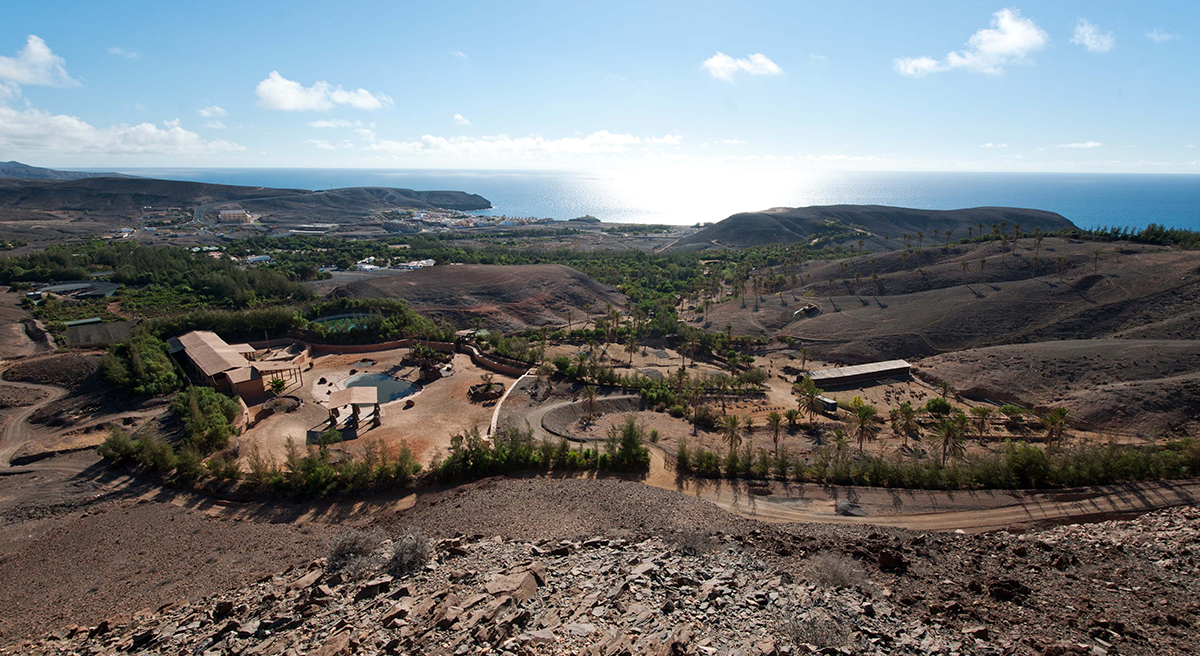 Oasis Wildlife Fuerteventura