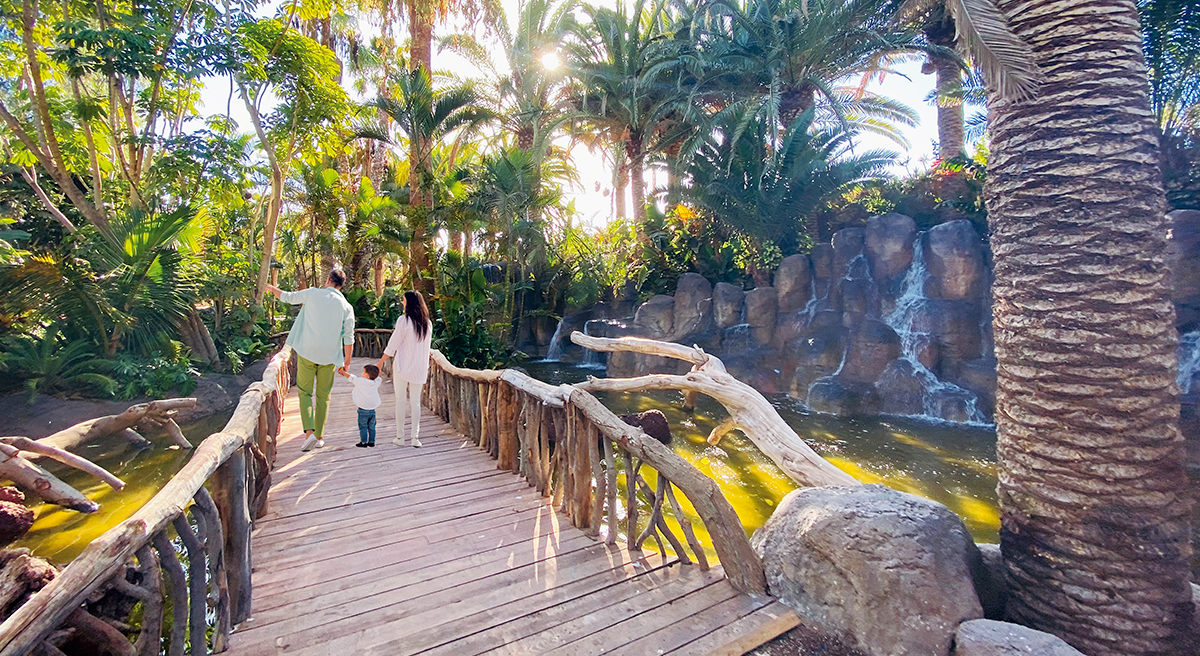 Oasis Wildlife Fuerteventura