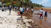 Mahahual (México) se prepara para el recale masivo de sargazo y despliega más de dos kilómetros de barrera marina | Foto: Redes Sociales