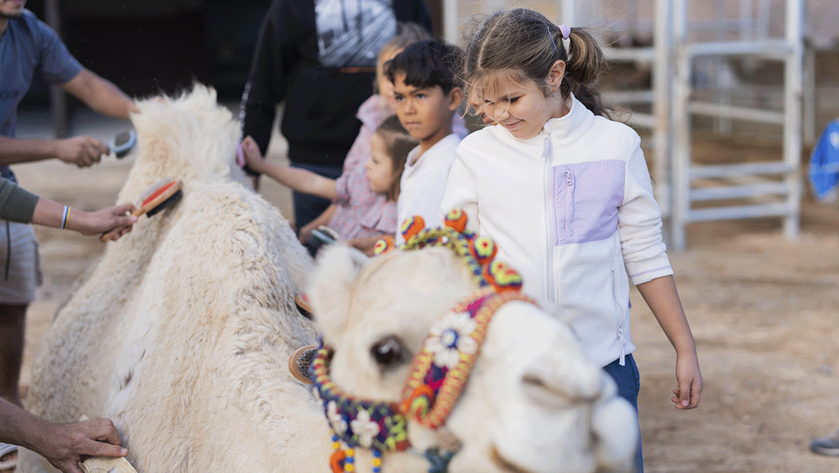  Oasis Wildlife Fuerteventura Camel Experience