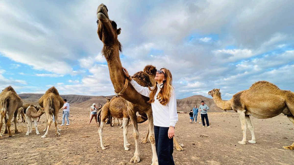  Oasis Wildlife Fuerteventura Camel Experience