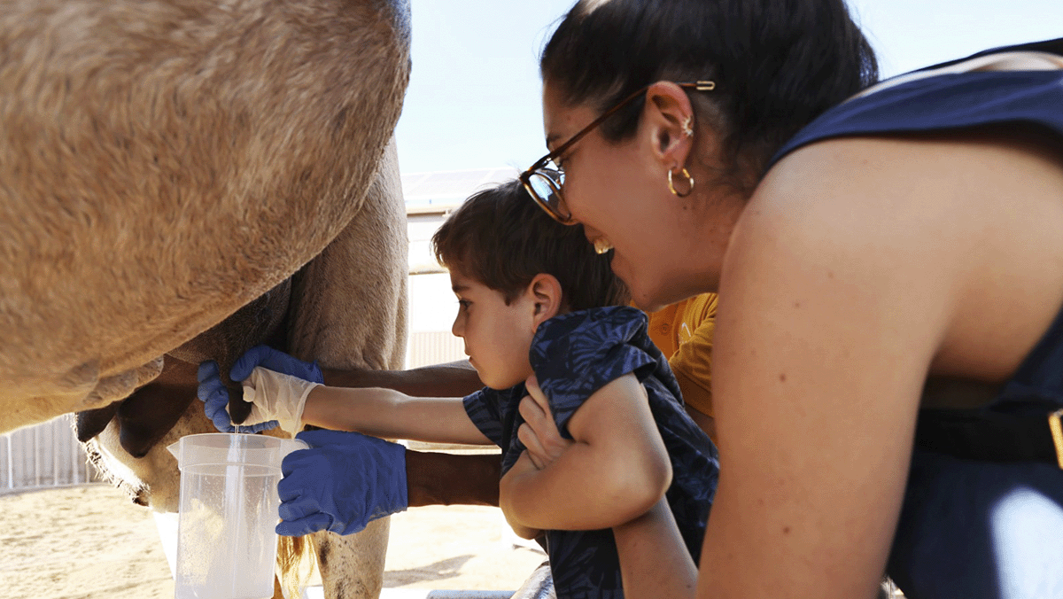  Oasis Wildlife Fuerteventura Camel Experience