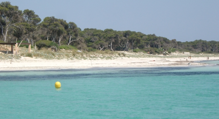 Playa de Es Carbó (Colònia Sant Jordi, Mallorca) | Foto: mateu mulet (CC BY 3.0)