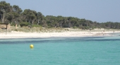 Playa de Es Carbó (Colònia Sant Jordi, Mallorca) | Foto: mateu mulet (CC BY 3.0)