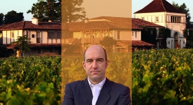 Hotel con viñedo guía para propietarios