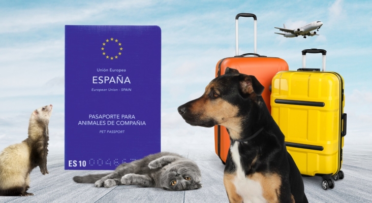 La UE cambia la normativa para viajar con animales de compañía