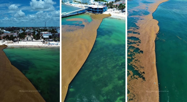Los hoteles de Riviera Maya (México) instalan sus propias barreras contra el sargazo y lo devían a sus 'vecinos'