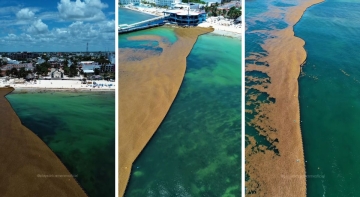 Los hoteles de Riviera Maya (México) instalan sus propias barreras contra el sargazo y lo devían a sus 'vecinos' Los hoteles de Riviera Maya (México) instalan sus propias barreras contra el sargazo y lo devían a sus 'vecinos'