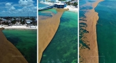 Los hoteles de Riviera Maya (México) instalan sus propias barreras contra el sargazo y lo devían a sus 'vecinos'