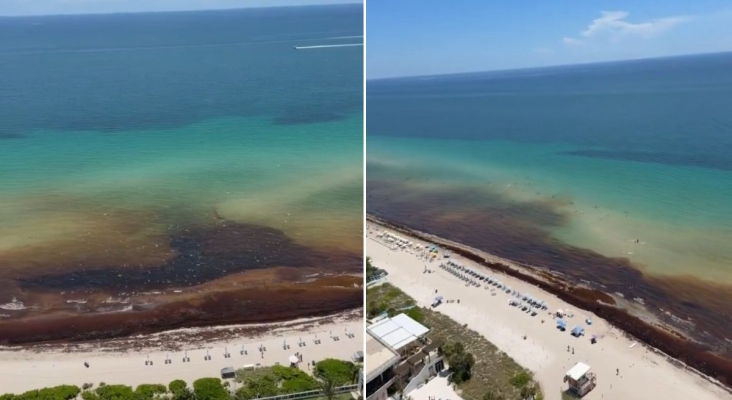 Miami Beach (EE.UU.) sucumbe al sargazo: toneladas de algas cubren las playas y alejan a los turistas