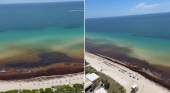 Miami Beach (EE.UU.) sucumbe al sargazo: toneladas de algas cubren las playas y alejan a los turistas
