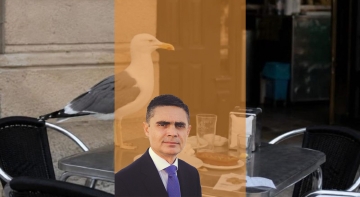 ¿Y qué hacemos con las gaviotas