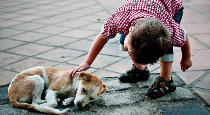 Un niño acaricia a un perro callejero. Foto de Dia1Noticias