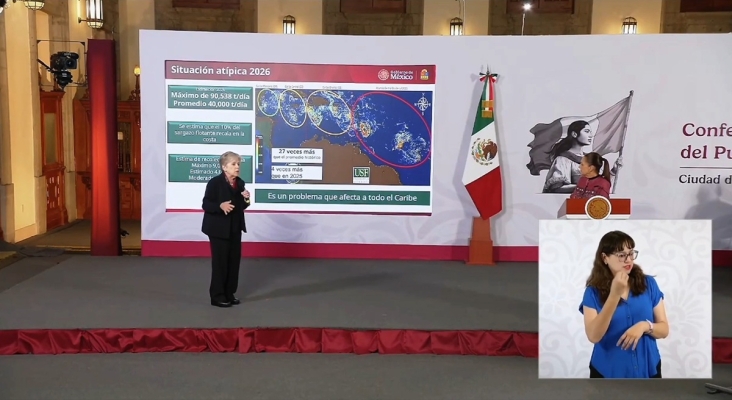 México explica el origen africano del récord del sargazo del 2026: el 10% llega a sus costas