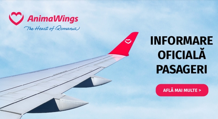 Quiebra AnimaWings