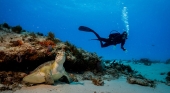 Parque Nacional del Arrecife de Cozumel