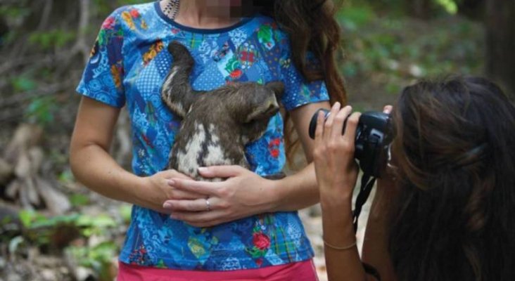 Una turista se hace una foto con un perezoso