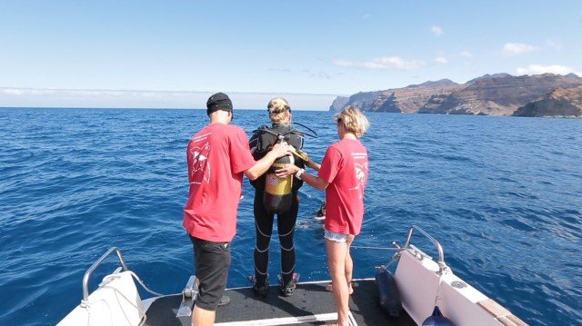 Los principales medios alemanes  especializados en ''buceo'' conocen los fondos marinos de Gran Canaria