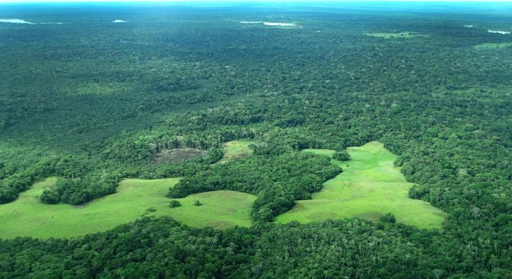Región Amazónica Colombia
