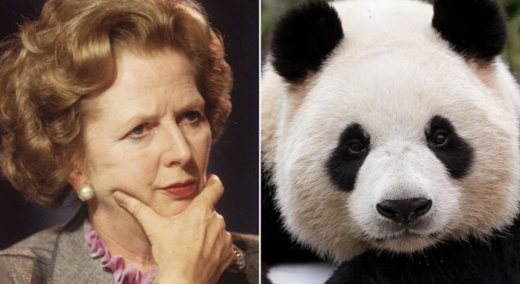 El día que Margaret Thatcher dijo ‘no’ a volar con un oso panda