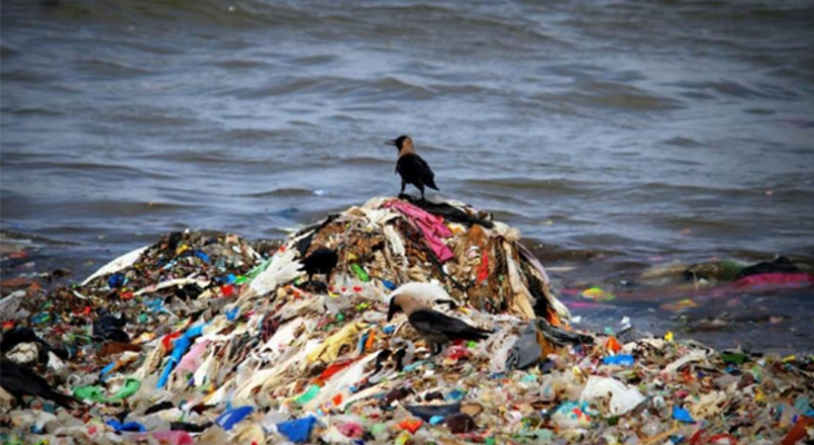 Bombay protagoniza la mayor limpieza de playas de la historia