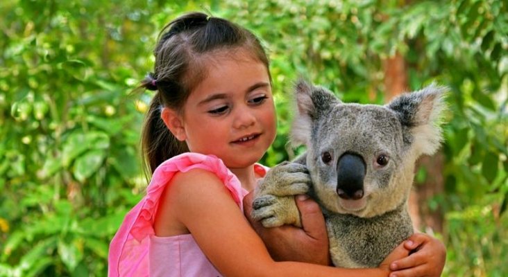 Selfie con un coala. Foto de Expansión